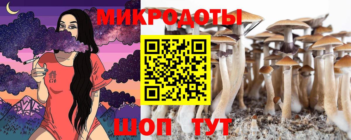 Артёмовский  Галлюциногенные грибы прущие грибы  Вход с VPN 