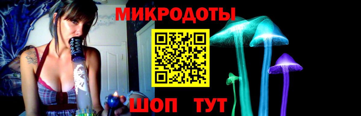 Псилоцибиновые грибы мухоморы Артёмовский